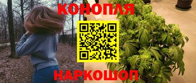 дживик Кунгур