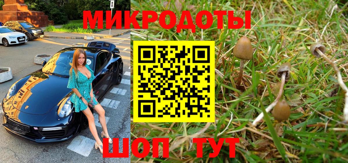 Псилоцибиновые грибы Psilocybe  Вход с VPN  Галлюциногенные грибы MAGIC MUSHROOMS  Касимов 